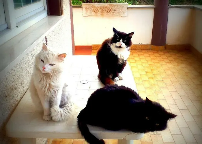 דירה Casa Magnolia פומזיה